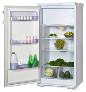 Холодильник Бирюса 238 KLFA Фото обзор