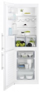 Холодильник Electrolux EN 3601 MOW Фото обзор