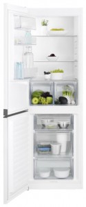 Refrigerator Electrolux EN 13601 JW larawan pagsusuri