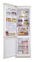 Kühlschrank Samsung RL-52 VEBVB Foto Rezension