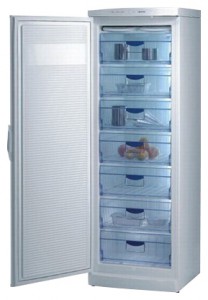 Холодильник Gorenje F 6313 Фото обзор