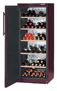 Refrigerator Liebherr WT 4176 larawan pagsusuri