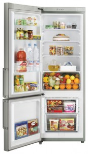 Kühlschrank Samsung RL-29 THCMG Foto Rezension