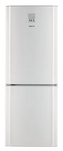 Refrigerator Samsung RL-26 DESW larawan pagsusuri