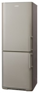 Kühlschrank Бирюса M143 KLS Foto Rezension
