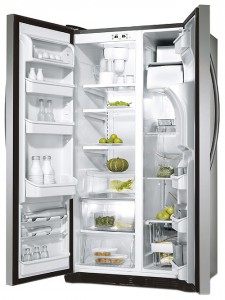 Refrigerator Electrolux ERL 6296 XX larawan pagsusuri