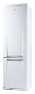 Refrigerator Electrolux ERB 40301 larawan pagsusuri