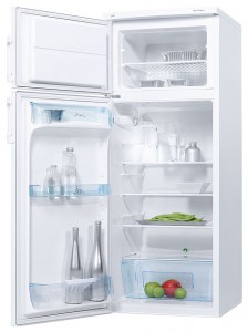 Refrigerator Electrolux ERD 24304 W larawan pagsusuri
