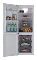 Refrigerator Samsung RL-40 EGSW larawan pagsusuri