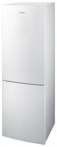 Køleskab Samsung RL-40 SCSW Foto anmeldelse