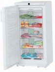 meilleur Liebherr GN 1853 Frigo examen