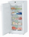 best Liebherr GN 1856 Fridge review