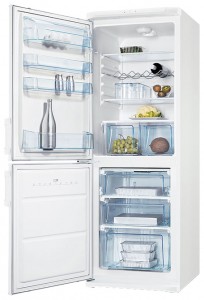 Refrigerator Electrolux ERB 30091 W larawan pagsusuri