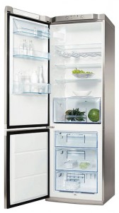 Refrigerator Electrolux ERB 36442 X larawan pagsusuri