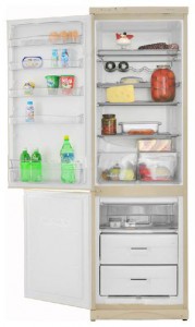 Tủ lạnh Snaige RF390-1713A ảnh kiểm tra lại