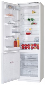 Холодильник ATLANT МХМ 1843-39 Фото обзор