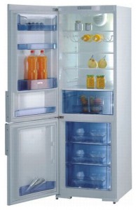 Холодильник Gorenje RK 61341 W Фото обзор