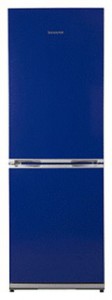 Refrigerator Snaige RF31SM-S1BA01 larawan pagsusuri