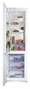 Refrigerator Snaige RF39SM-S10010 larawan pagsusuri