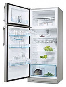 Kühlschrank Electrolux ERD 30392 S Foto Rezension