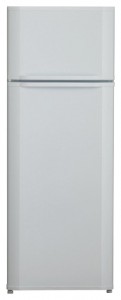 Холодильник Regal ER 1440 Фото обзор
