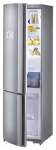 Refrigerator Gorenje RK 67365 E larawan pagsusuri