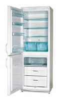 Холодильник Polar RF 310 Фото обзор