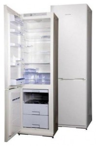Refrigerator Snaige RF39SH-S10001 larawan pagsusuri