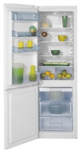 Kjøleskap BEKO CSK 31050 Bilde anmeldelse