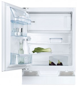 Refrigerator Electrolux ERU 13300 larawan pagsusuri
