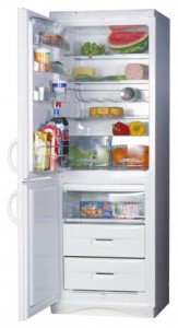 Холодильник Snaige RF310-1803A Фото обзор