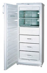 Refrigerator Snaige F245-1504A larawan pagsusuri