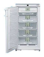 Refrigerator Liebherr GSNP 2026 larawan pagsusuri