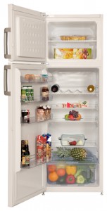 Refrigerator BEKO DS 233020 larawan pagsusuri