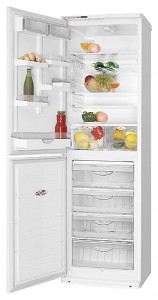 Refrigerator ATLANT ХМ 6025-027 larawan pagsusuri
