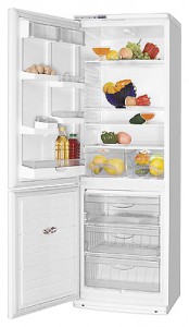 Холодильник ATLANT ХМ 6019-028 Фото обзор