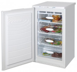 Refrigerator NORD 161-010 larawan pagsusuri
