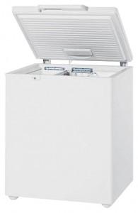 Refrigerator Liebherr GT 2156 larawan pagsusuri
