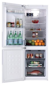 Kühlschrank Samsung RL-34 HGPS Foto Rezension