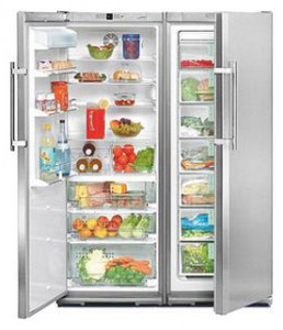 Refrigerator Liebherr SBSes 6102 larawan pagsusuri