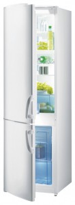 Kühlschrank Gorenje RK 41285 W Foto Rezension