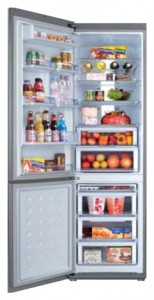 Kühlschrank Samsung RL-55 VQBRS Foto Rezension