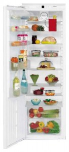 Refrigerator Liebherr IK 3610 larawan pagsusuri