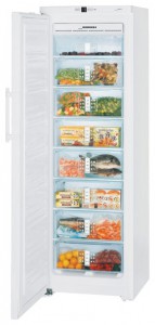 Refrigerator Liebherr GN 3013 larawan pagsusuri