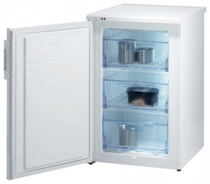 Холодильник Gorenje F 54100 W фото огляд