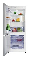 Refrigerator Snaige RF27SM-S1L101 larawan pagsusuri