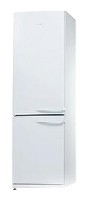 Refrigerator Snaige RF36SM-Р10027 larawan pagsusuri