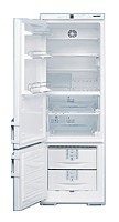 Refrigerator Liebherr KGB 3646 larawan pagsusuri
