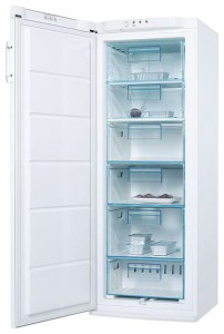 Refrigerator Electrolux EUC 25291 W larawan pagsusuri
