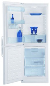 Refrigerator BEKO CSK 30000 larawan pagsusuri